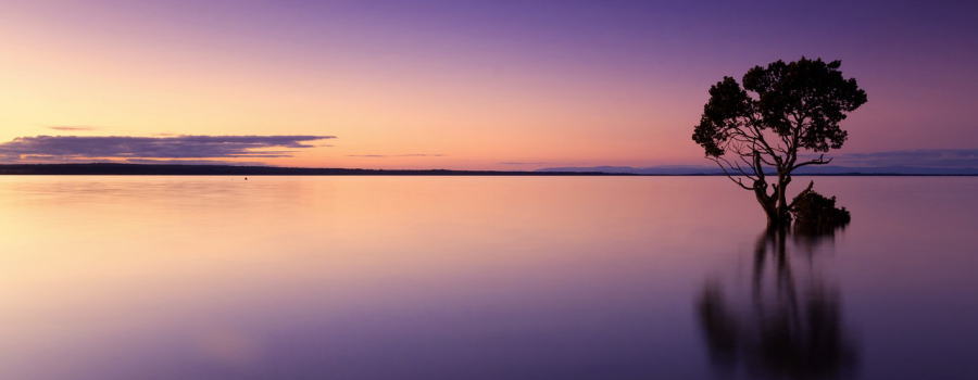 情報家カタログ。。